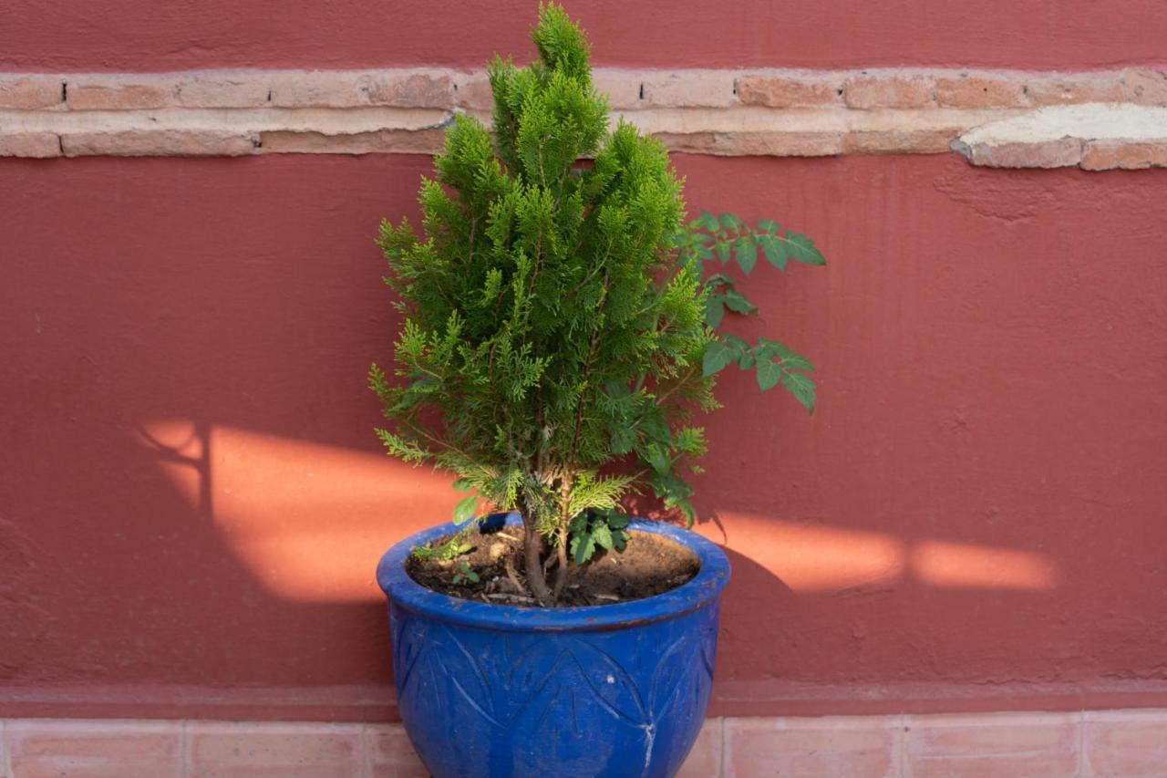 Riad Le Plein Sud Marrakesh Ngoại thất bức ảnh